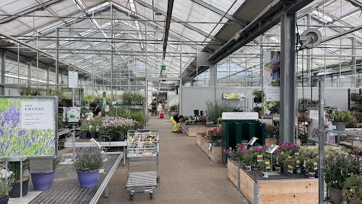 Dehner Garten-Center