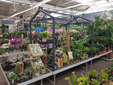 OBI Gartencenter Freiburg, Tullastrasse