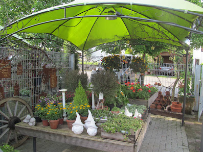 Blütenzauber