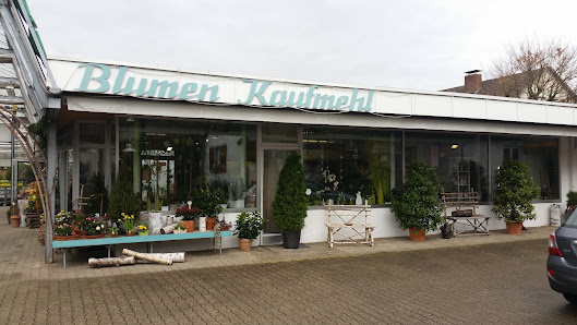 Manfred Kaufmehl Blumen