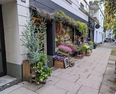 Blumen-Hahn