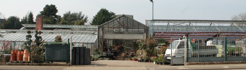 Blumen Emonds Gärtnerei