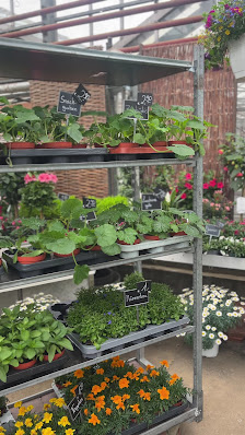 Blumen Emonds Gärtnerei