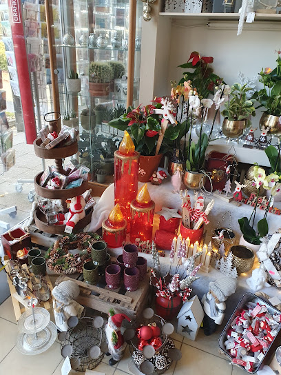 Blumen u. Pflanzen