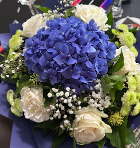 Blumen & Pflanzen