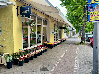 Hauptstadt Blumen - Familie Röwer GmbH