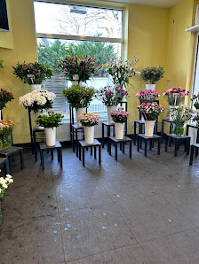 Hauptstadt Blumen - Familie Röwer GmbH