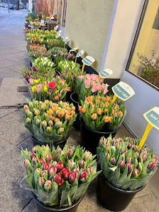Hauptstadt Blumen - Familie Röwer GmbH