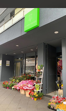 Blumen Sanaria