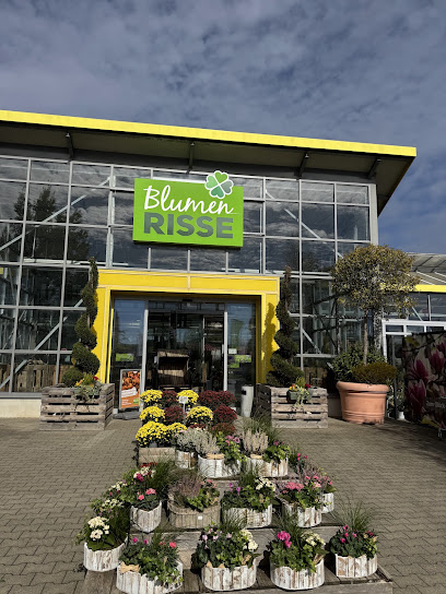 Blumen Risse Blumenmarkt Würselen