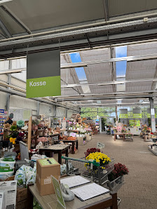 Blumen Risse Blumenmarkt Würselen