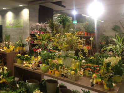 Fery Flowers