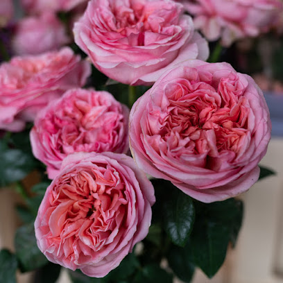 Blumen-Großhändler in Malterdingen