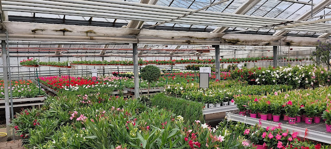 Sauter Grün Erleben Gmbh & Co. Kg
