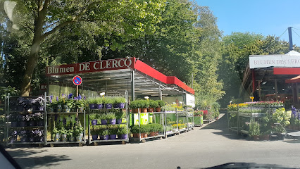 Blumen de Clercq GmbH