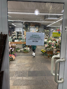 Blumen de Clercq GmbH