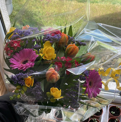 Duisberg Blumen