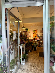 La Provence - Blumen & Geschenke