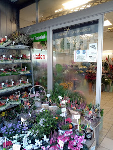 Blütenreich Tempelhof Blumen & Grünpflanzenladen