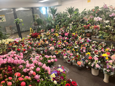 Blütenreich Tempelhof Blumen & Grünpflanzenladen