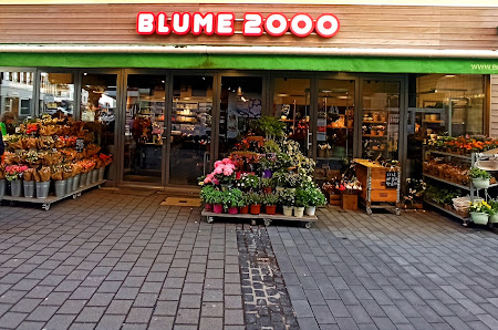 BLUME2000 Mainz Schusterstrasse