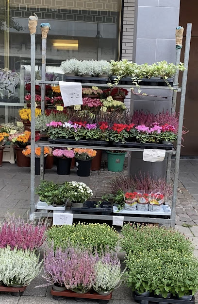 Blumengeschäft in Aachen