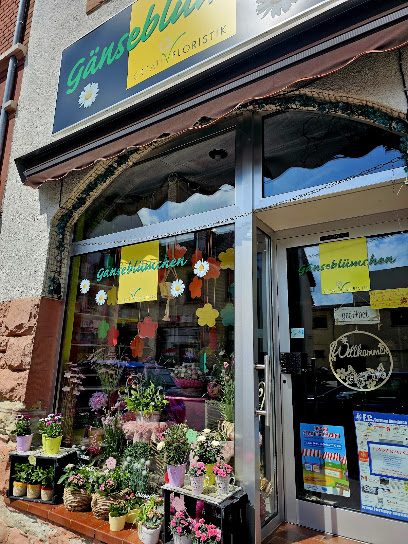 Blumen Gänseblümchen Inh. Marika Vorschneider