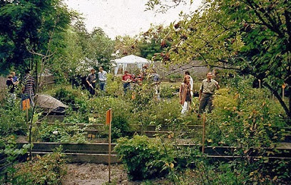 Baumschule