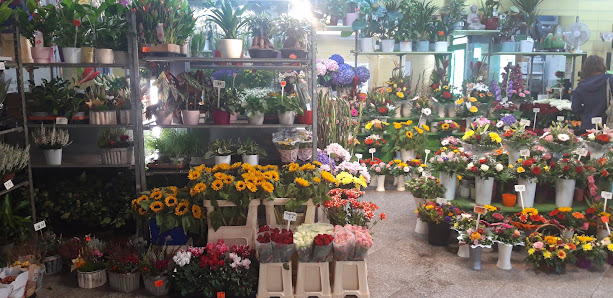 Blumenladen im S-Bahnhof Tempelhof