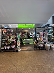 bel verde floristik ambiente Kassel