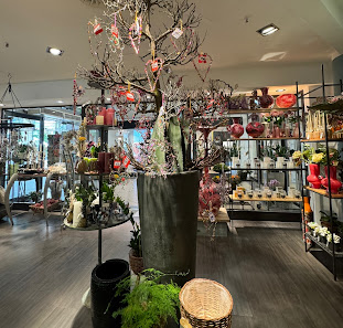 bel verde floristik ambiente Kassel