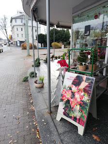 Blumenhaus Carle