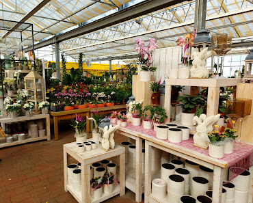 Gartencenter Meckelburg