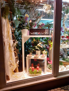 Blumenhaus Frühling Kassel