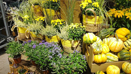 BLUME2000 Lübeck Kohlmarkt
