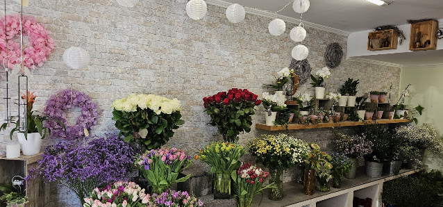 Blumenhaus Abel , Inh. Nicole Köster