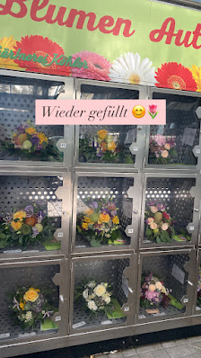 Gärtnerei Köhler Handelsgesellschaft mbH