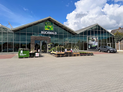 Buchwald grün erleben Stockelsdorf