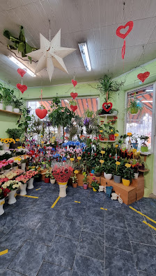Blumen