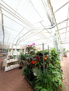 Gartencenter Bachmann GmbH