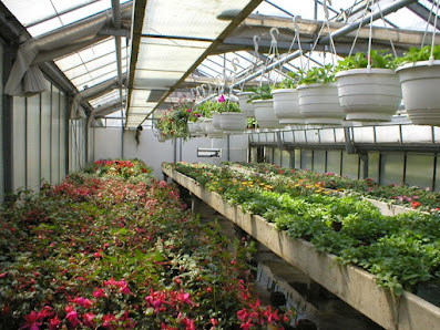 Gärtnerei und Blumenhaus Dieling