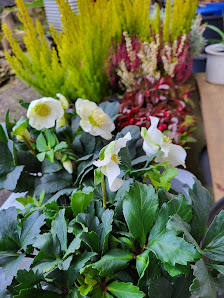 Holger Blume Gartenbau und Floristik