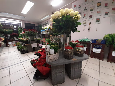 Blumen Rosenkönig