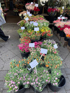 Gebr. Oostdam Blumen