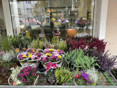 Bloom Queen - Blumen & Lebensmittel, Schillerpromenade 5