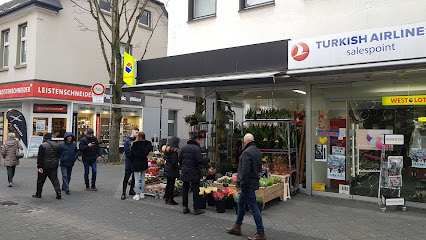 Blumen Rosentraum Krefeld