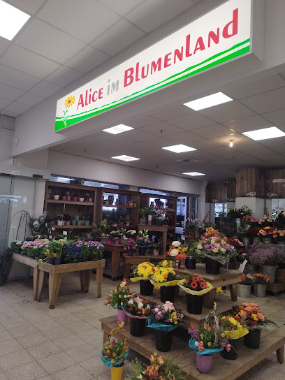 Alice Im Blumenland Blumen
