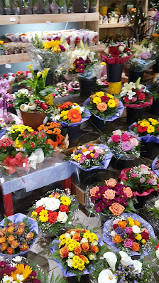 Alice Im Blumenland Blumen