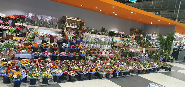 Alice Im Blumenland Blumen