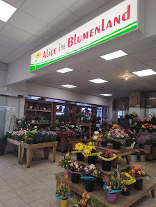 Alice Im Blumenland Blumen